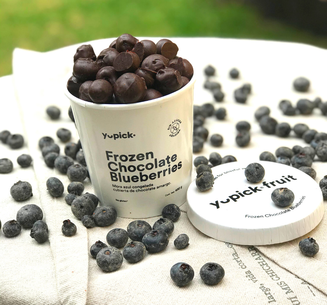 FROZEN CHOCOLATE BLUEBERRIES Yupick